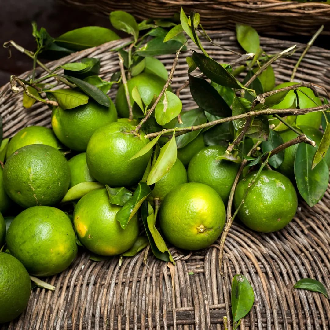 Frische Limetten 1Kg