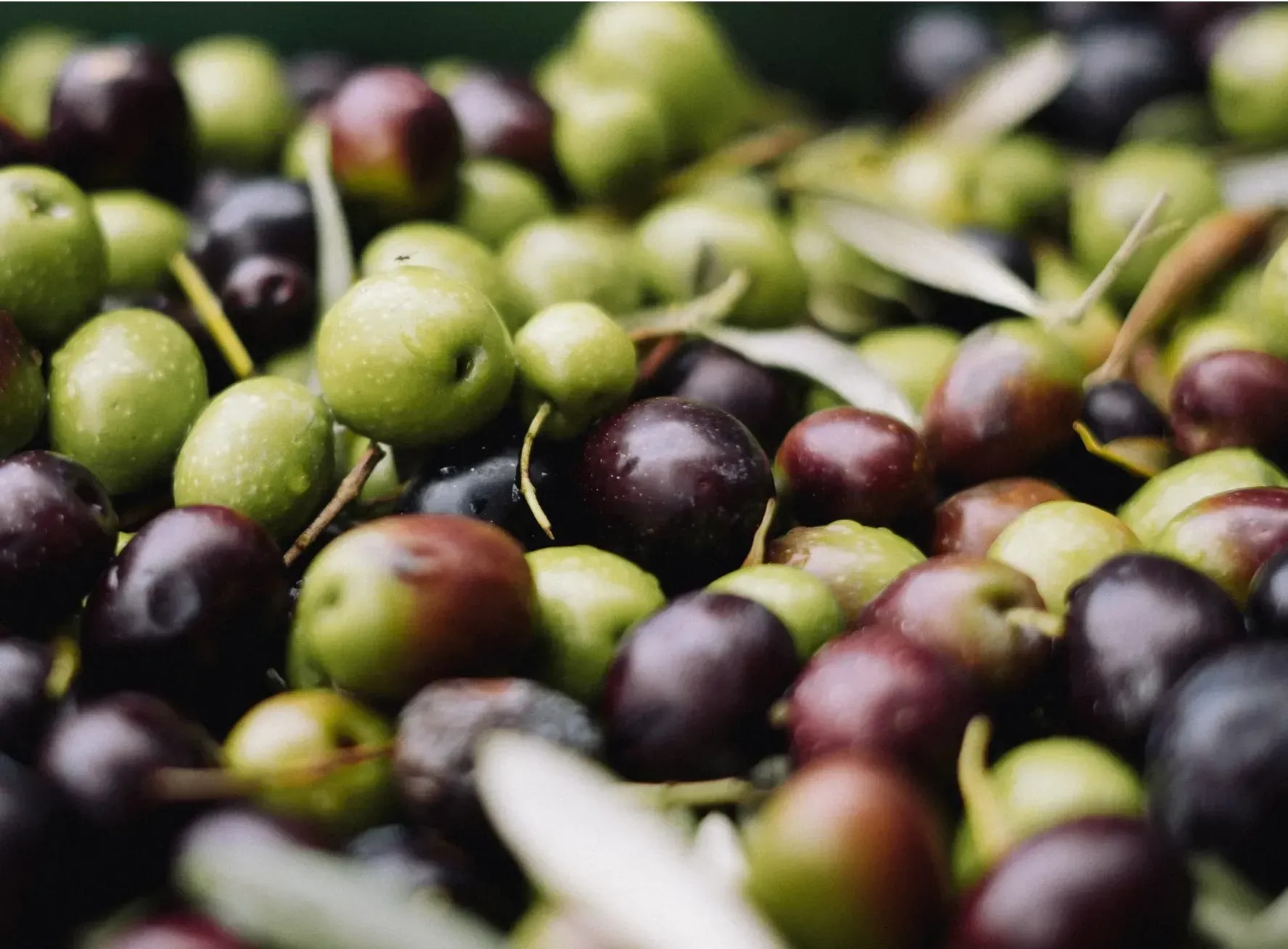Delikatessen aus Portugal direkt bestellen