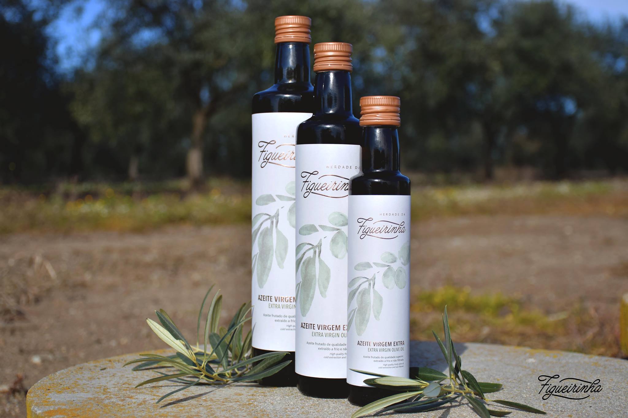 Pämiertes, kaltgepresstes Olivenöl online bestellen.